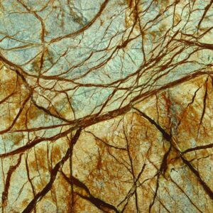 RAIN FOREST BROWN